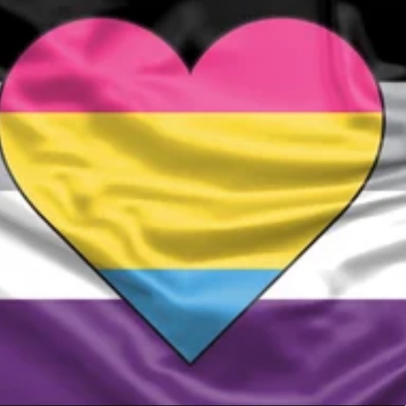 Asexual Ace Panromantic Pan Heart‎ Pride
Flag - Picture 4 of 5